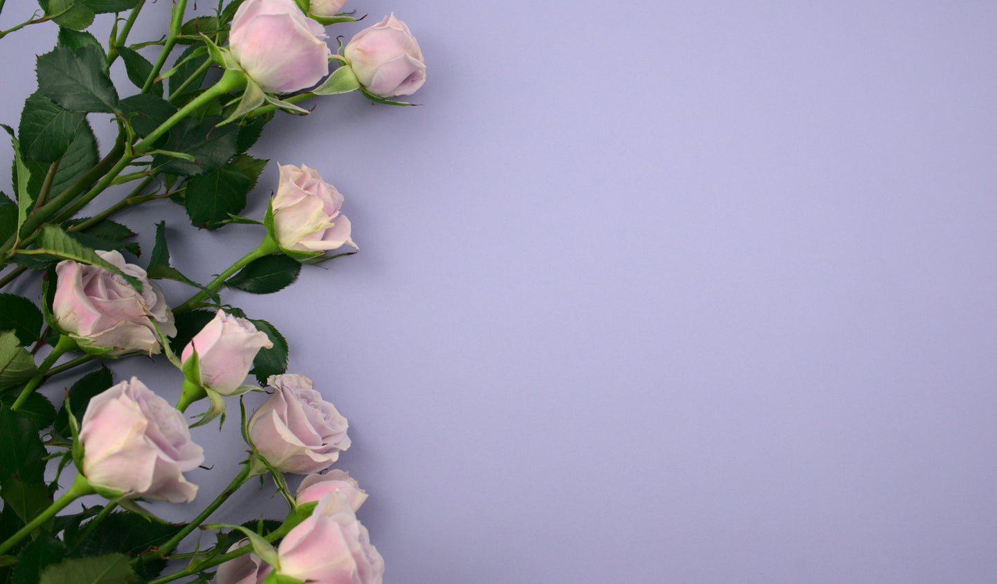 Wedding Gifts & Hampers